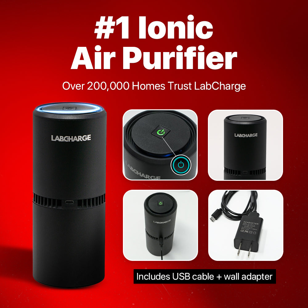 A single green leaf against a white background.