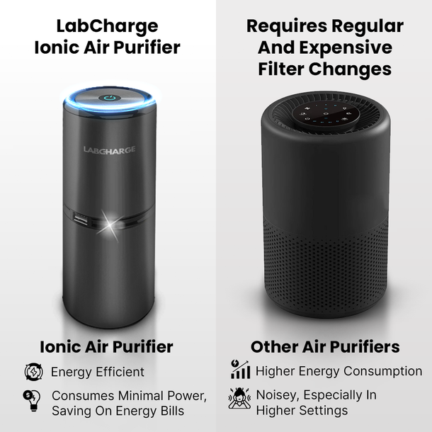 Best Ionic Air Purifier On The Market Lab Charge LLC