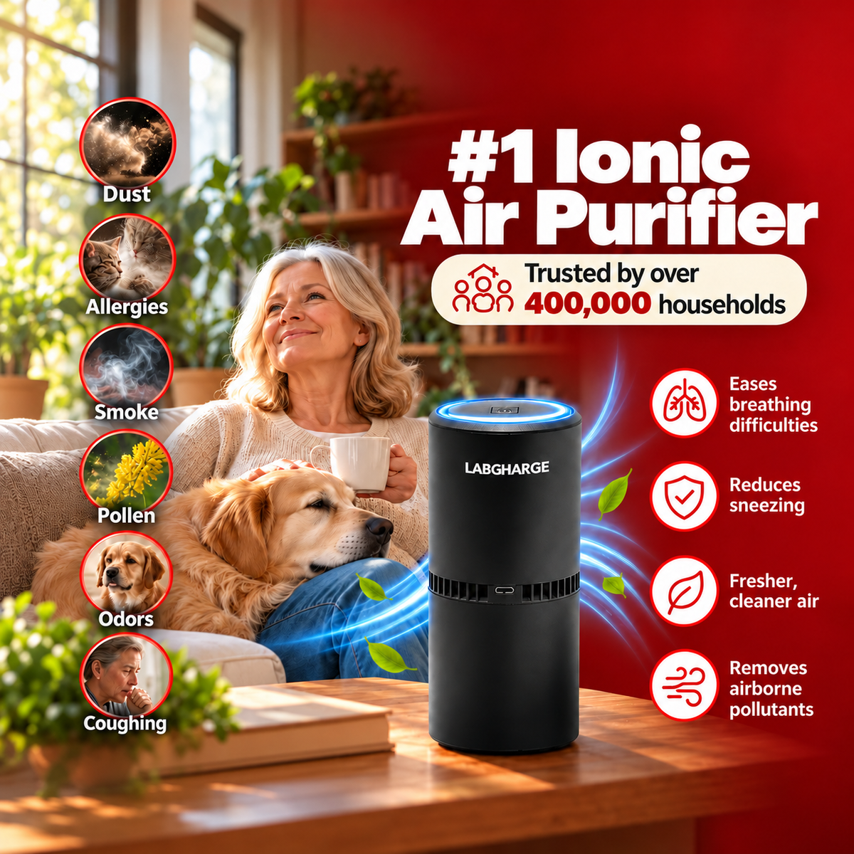 LabCharge Ionic Air Purifier