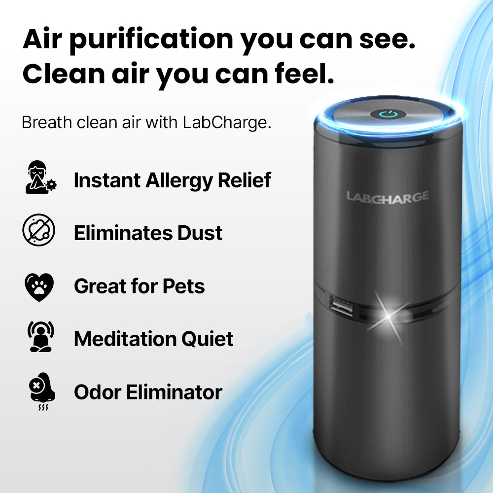 Lab Charge Air Purifier Reviews Consumer Reports