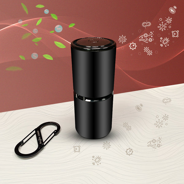 SPECIAL OFFER 1 Ionic Air Purifier [250 square feet of coverage