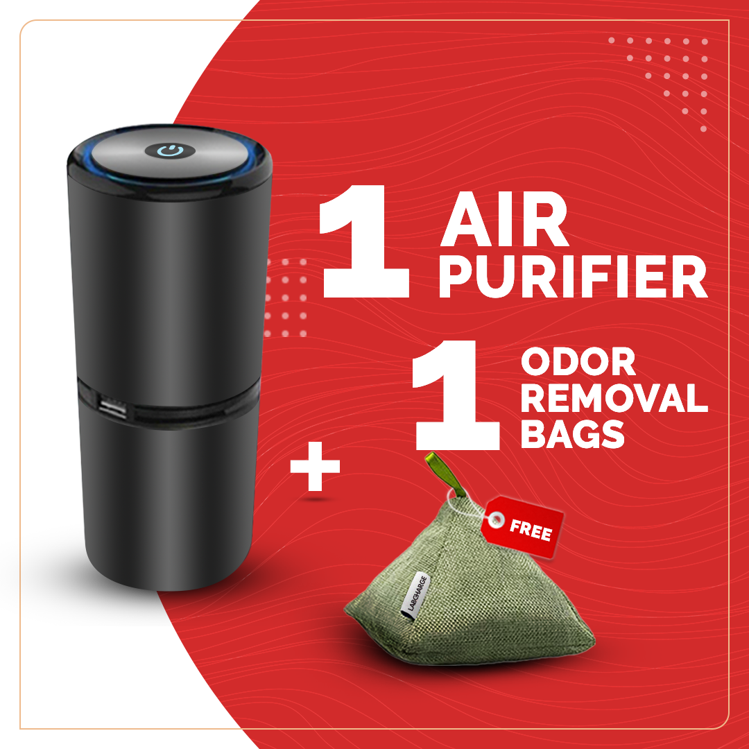 Lab charge deals ionic air purifier