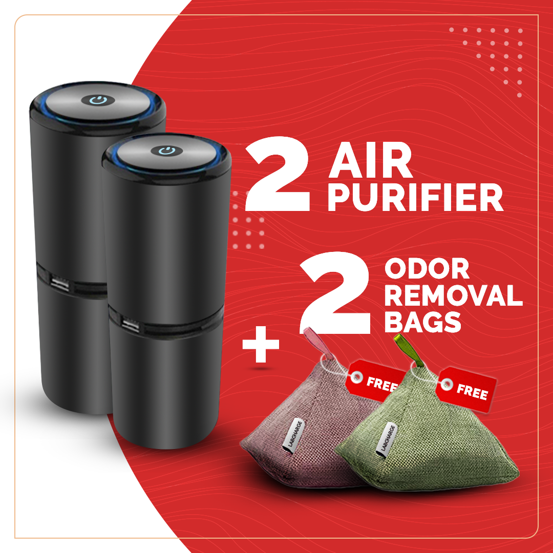 2 Ionic Air Purifiers [comes With A 2 Year Warranty] Lab Charge Llc